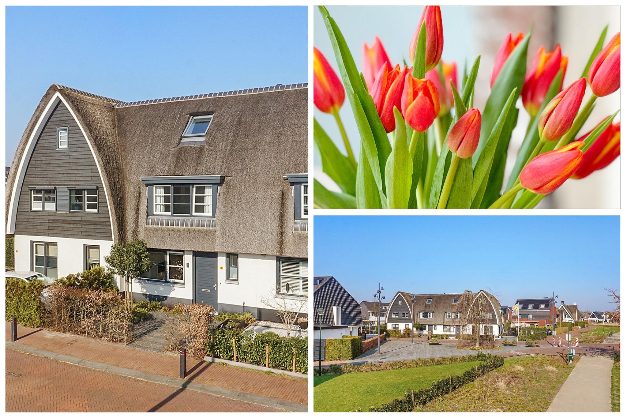 Zuiderzeedreef 3 Blaricum makelaarskantoor Blaricum foto 3